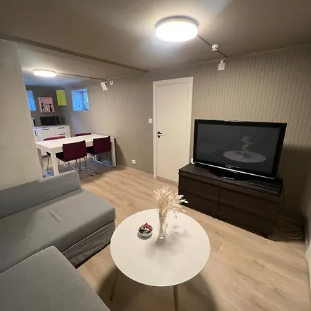 Appartamento Modern Basement