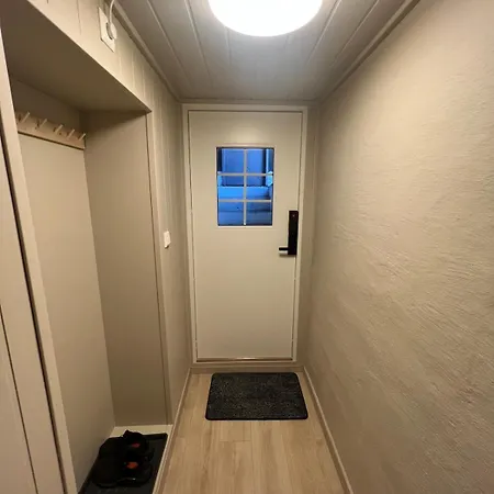 Modern Basement