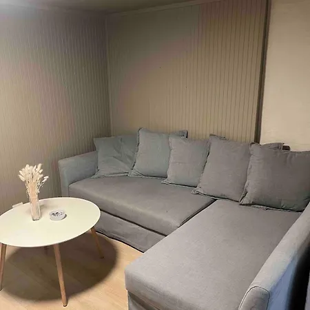 Modern Basement *